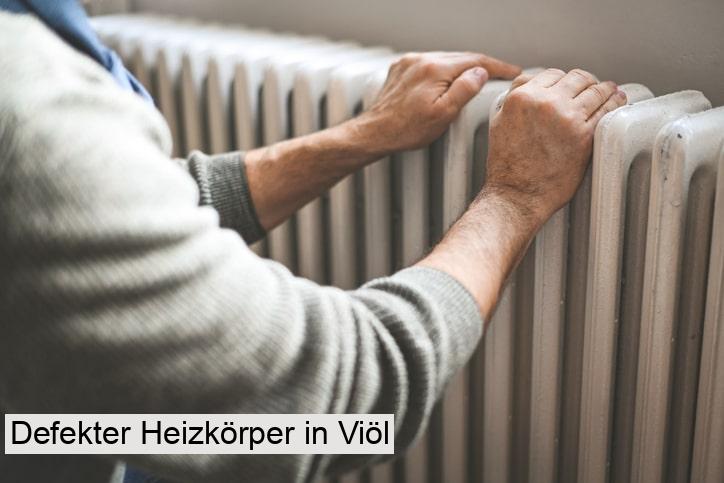 Defekter Heizkörper in Viöl